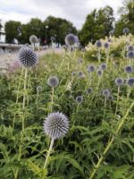 Bepflanzung bei Vadstena