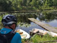 Seenlandschaft in Smaland