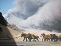 Foto: Islandpferde bringen sich in Schutz nach dem Ausbruch von 
