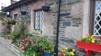 20230713 160259 luss am Loch Lomond 