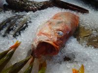 Stockholm: Kulinarische Stadtführung: Saluhall