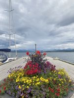 Tag 6 - Molde blüht 