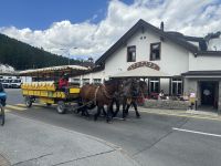 In eine Kutsche von Potresina ins Val Roseg passen maximal 10 Personen