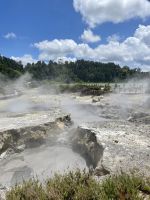 Kochende Schwefelquellen am Furnas-See