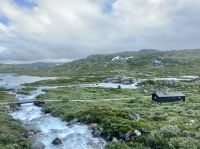 Tag 8 - Hardangervidda 