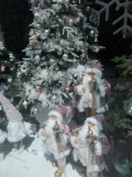 DSCN7490.JPG   auch die sind schon da !