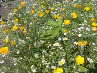 DSCN7534.JPG  Tschüß