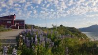 Lofoten - Mortsund - Statles Rorbusenter