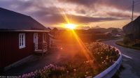 Lofoten - Mortsund - Statles Rorbusenter - Mitternachtssonne!