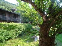 ... mit wunderbarem Blick in die Natur