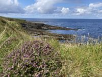 5. Reisetag – Von Letterkenny nach Leenane – Wanderung um die Halbinsel Mullaghmore