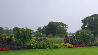 20230718 101208 Dublin- Pause am Botanischen Garten