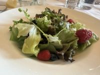 Vorspeise - Salat mit Beeren und Kernen und Holunderblütenvinaigrette