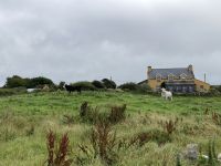 8. Reisetag – Burren & Klippen – Wanderung auf dem Burren Way