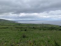 8. Reisetag – Burren & Klippen – Wanderung auf dem Burren Way