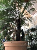 Wintergarten El Capricho de Gaudí - Comillas