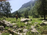 Ankunft auf der Bergwiese mit plätscherndem Wildbach