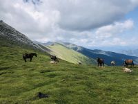 der Aufstieg hat sich gelohnt