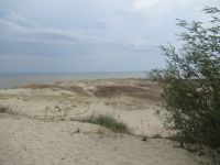 Kurische Nehrung von der Pernidis-Düne