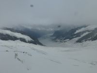 Der Aletschgletscher und im Hintergrund das Eggishorn, auf dem wir vor wenigen Tagen waren.