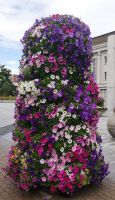 Pärnu - Kurstadt voller Blumen