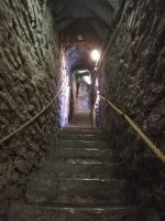 Tallin - 200 Treppen bis nach oben in den Turm der Olaikirche