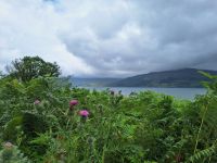 Iona