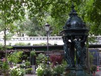 Tag 2 Stadterkundung Île de la Cité, Blumenmarkt