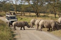 123 Nashornbegegnung am Lake Nakuru