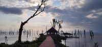 240 Abendstimmung Lake Naivasha