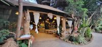 354 Kibo Safari Camp