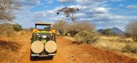 376 Safari Tsavo West