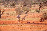 479 zurück im Paradies