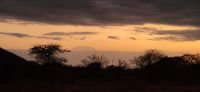481 Abendstimmung mit Blick auf Kilimandscharo