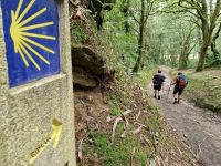 Wanderung auf dem Jakobsweg von Arzua nach O Pino (9)