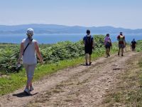 Ausflug mit Wanderung auf der Insel Ons im Nationalpark Illas Atlanticas (16)