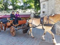 Mit der Pferdekutsche durch Tallin - und die Damen mit Handy...