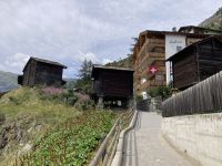 typisch Wallis - die Mäusesicherung