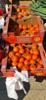 Franzoeischen Tomaten.jpg