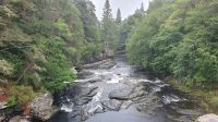 Moriston Falls 20230731 110544