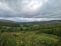 Burren