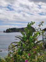 Blick auf eine vorgelagerte Insel