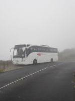 Unser Bus bei Nebel