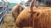 Grace s Farm in Aberdeenshire 20230803 102119