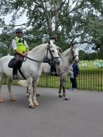 Polizisten im Hydepark