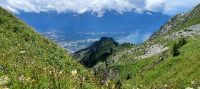 Blick vom Rochers de Naye