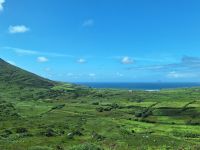 Skelligring