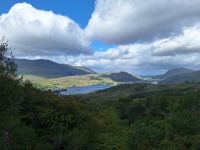 Ladies View