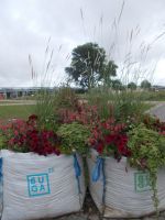 DSCN7618.JPG