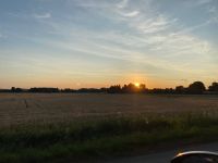 Morgenstimmung am Rande der Dresdner Heide